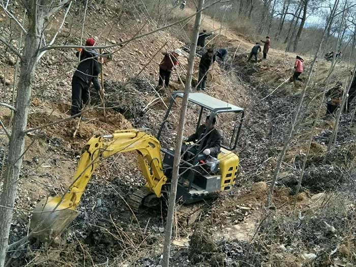 金旺小型挖掘機(jī)山坡植樹造林...